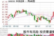 生益科技（StockCode:603066）股票分析与展望