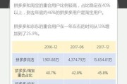 逆周期红利下的拼多多持续增长的动力与挑战