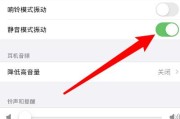 苹果手机按键震动在哪里关闭