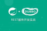 dubbo传输数据默认大小