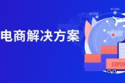 中国跨境电商行业品牌营销白皮书大数跨境