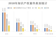 大数据知识产权保护实例