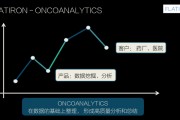 大数据行动战略分析