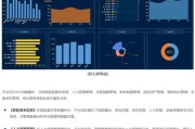 大数据分析报告案例