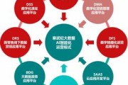 大数据管理创新：优化数据价值实现商业突破