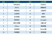 世界大数据公司排名