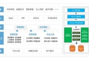 软通动力大数据分析