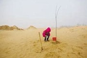 中东沙漠变汪洋强降雨背后的科学解析