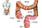 直肠癌放疗的副作用小吗？如何治能减轻副作用