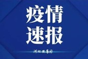 河北新冠查询系统