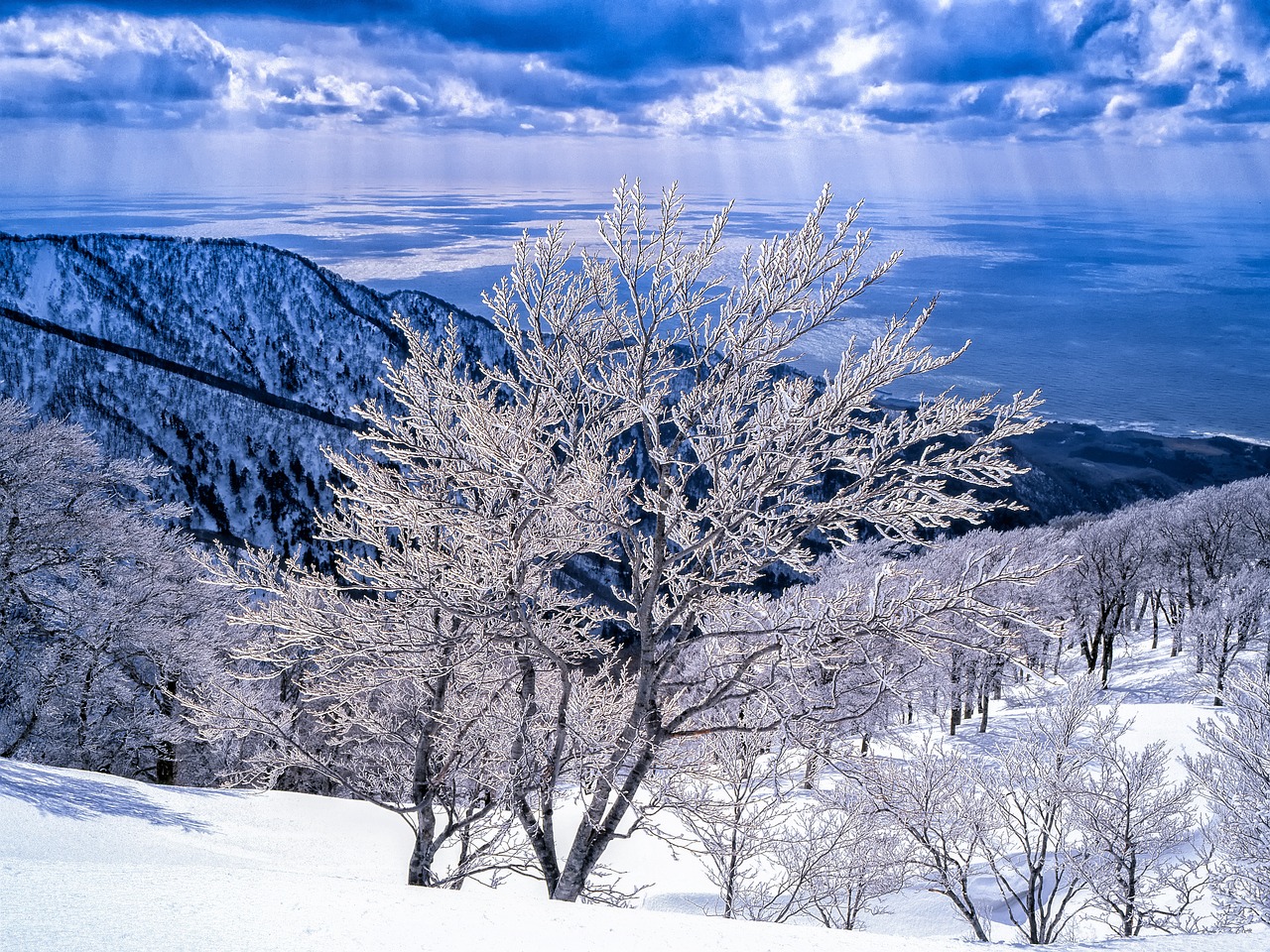 银装素裹的世界 —— 探索雪白雪白的多彩表达